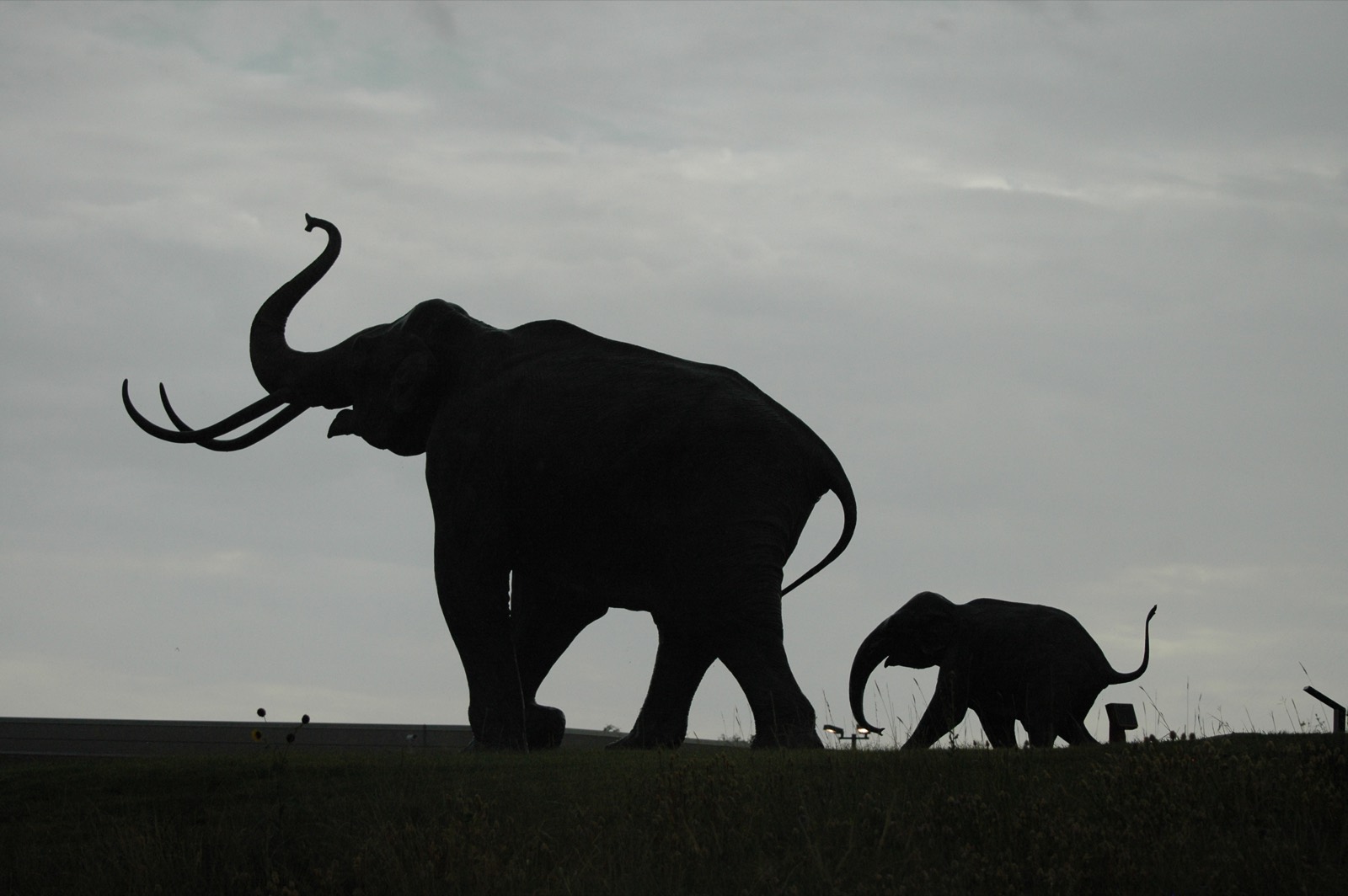 Excavation area with exposed stratigraphy at Lubbock Lake Landmark