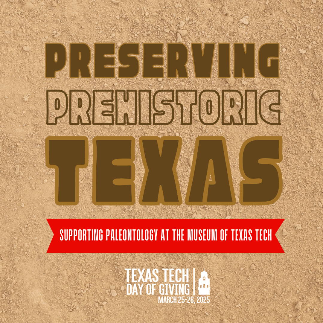 Prehistoric Texas Square Graphic