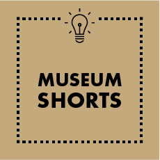 Museum Shorts Video Link