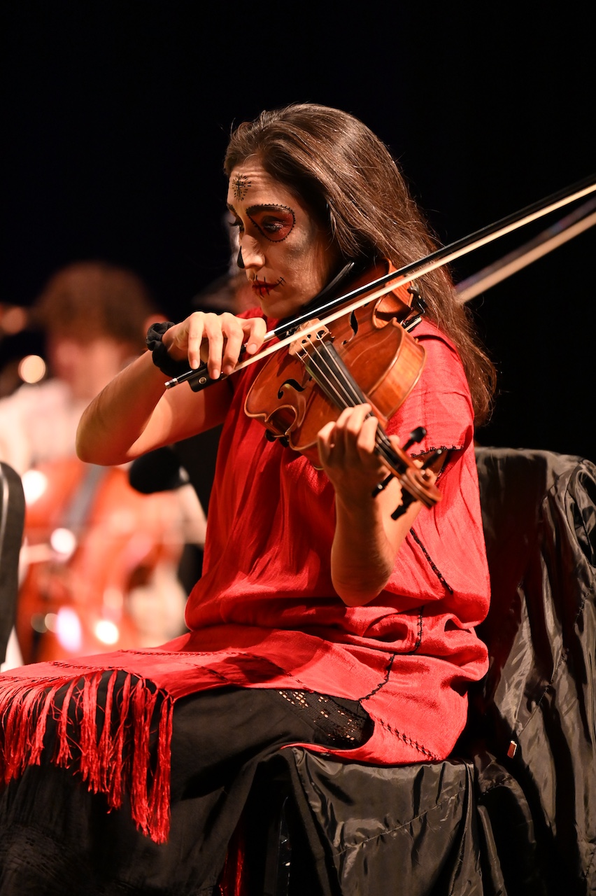 Image of a Violinist
