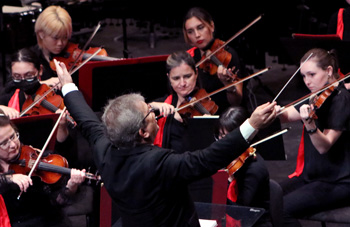 TTU School of Music Synergy