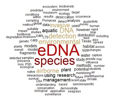 word cloud of top 100 terms appearing in lab publication titles and abstracts