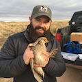 Blake Grisham,  ms student, ttu, nrm, natural resources management, texas tech university, avian ecology, demographic modeling, climate response modeling, and applied ecological statistics 