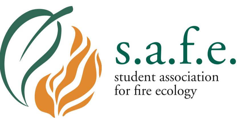 SAFE Logo
