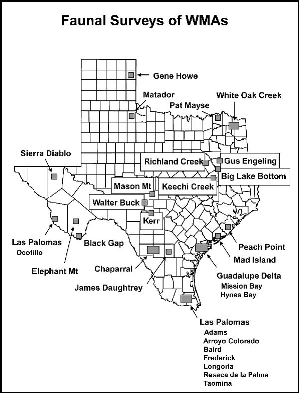 Texas survey map