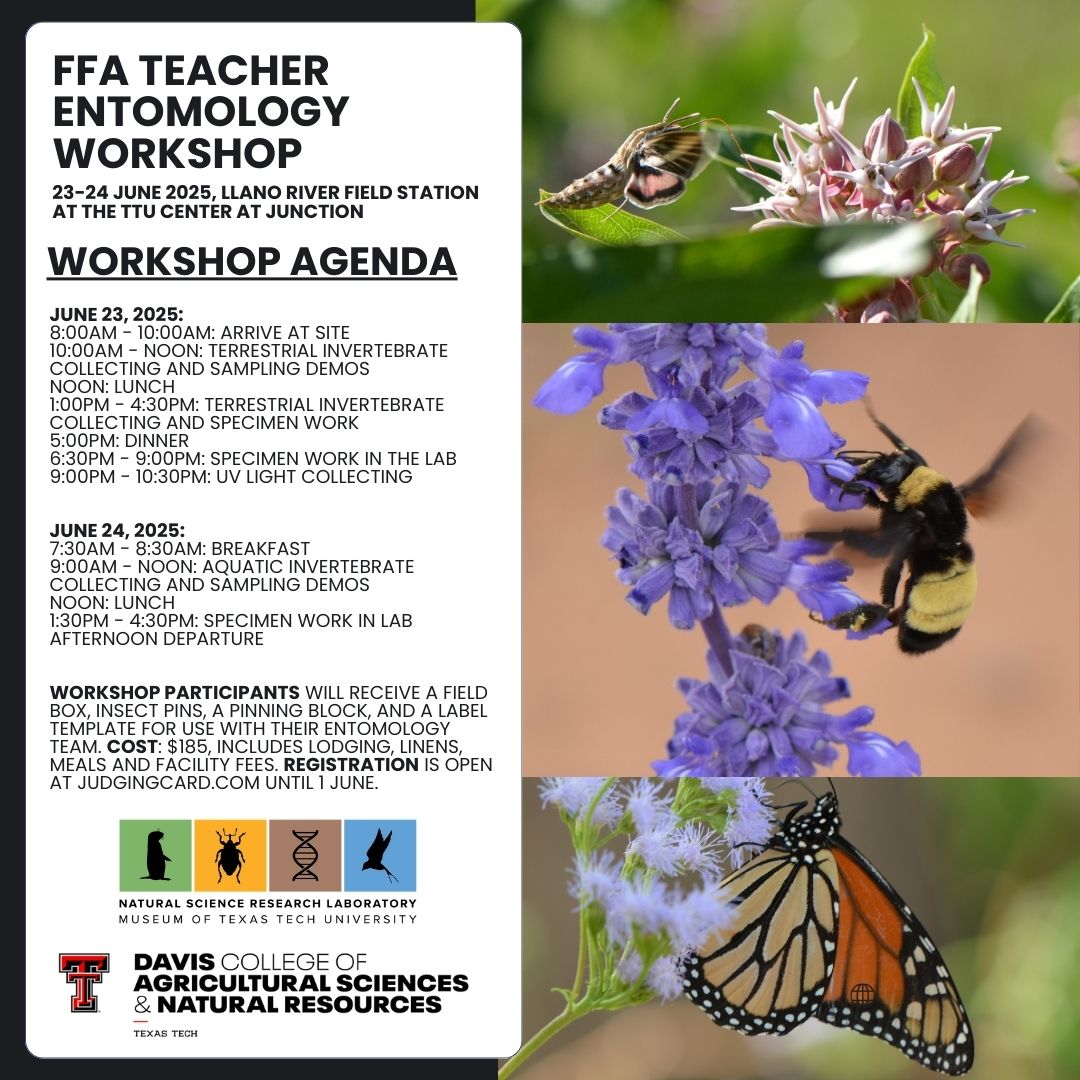 Entomology BugShop 2025 Flyer
