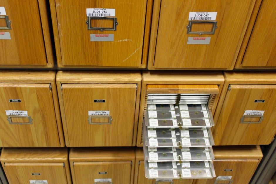 View of cabinets for slide collection