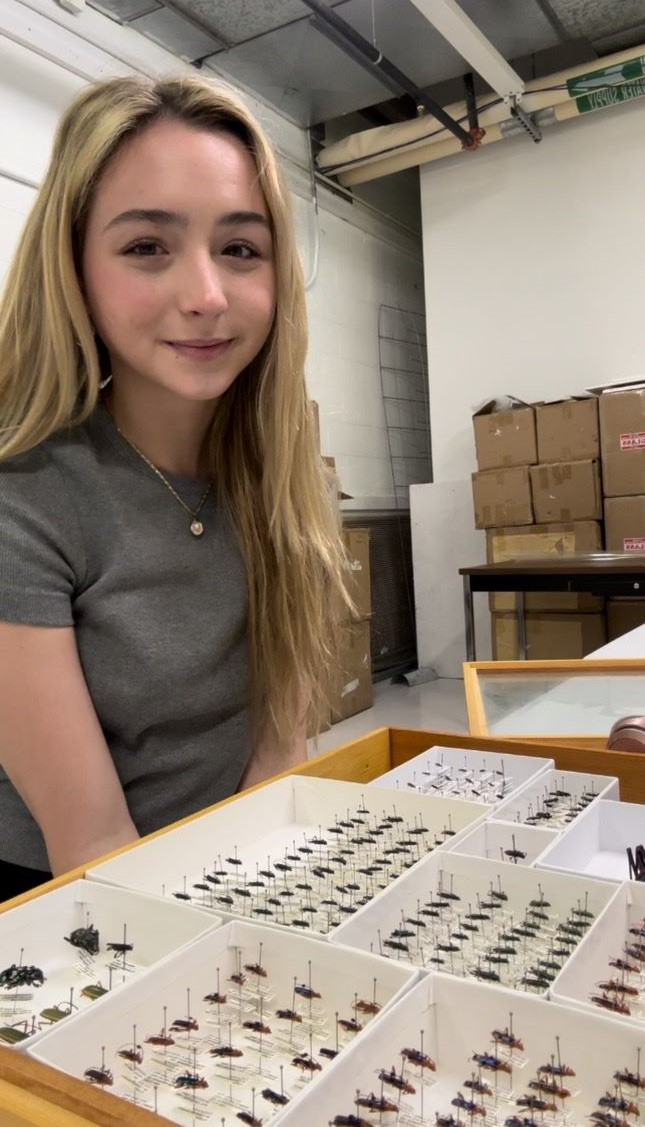 Portrait of Isabella Pettiet with drawers of longhorn beetles