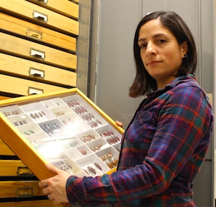 Portrait of Jennifer C. Girón holding a drawer with beetles