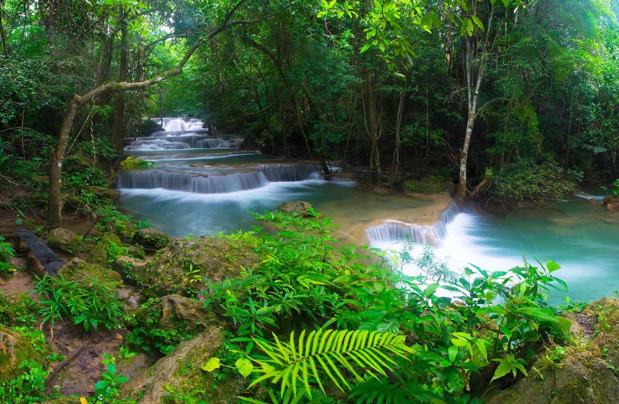 Rainforest waterfall in Thailand