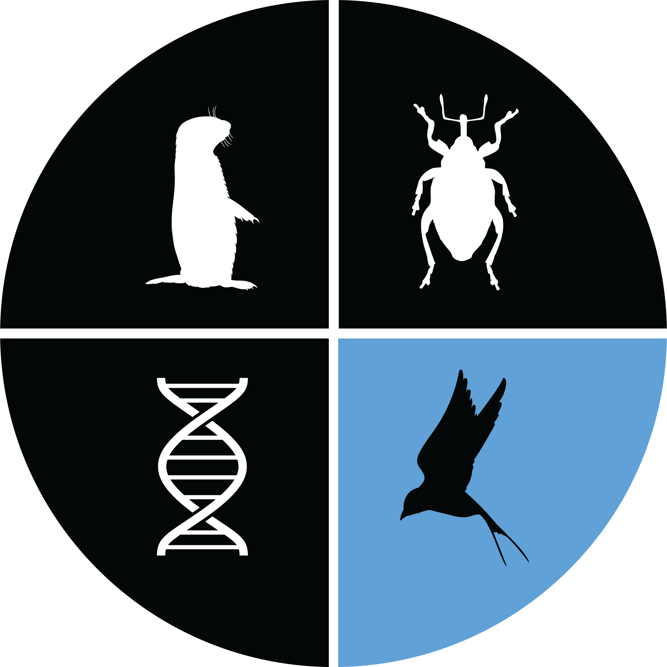 The Bird Collection component of the logo of the Natural Science Research Laboratory: the sillhouette of a swallow over blue background