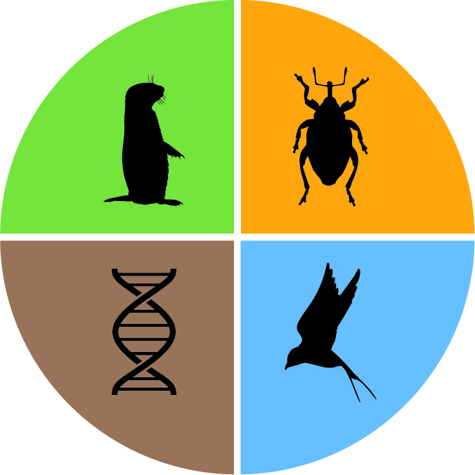NSRL logo