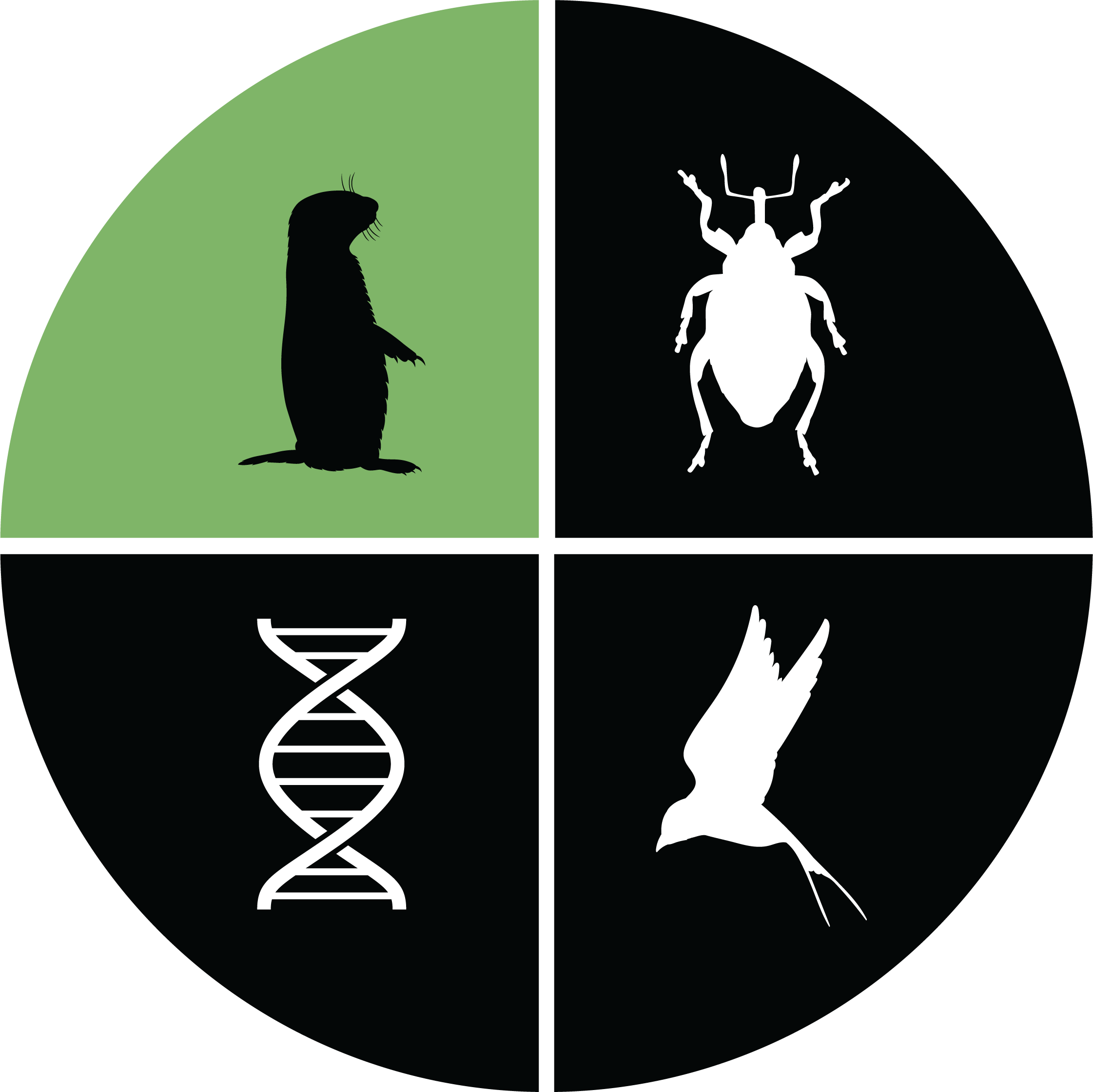 The Mammal Collection component of the logo of the Natural Science Research Laboratory: the sillhouette of a prairie dog over green background