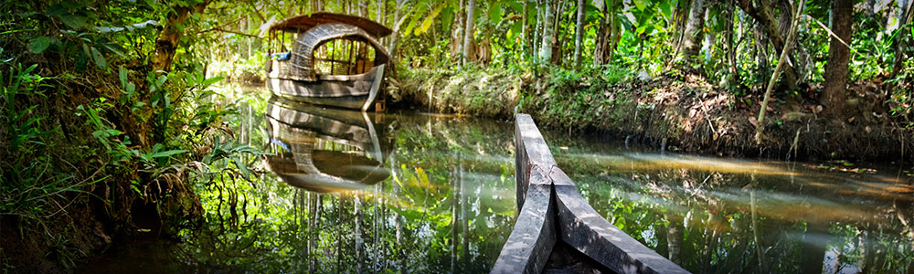 Wooden boat cruise in backwaters jungle in Kochin, Kerala, India