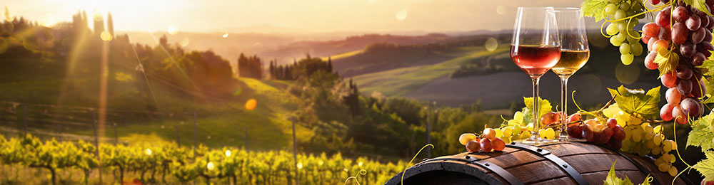  Glasses of red wine on barrels with grapes in a vineyard