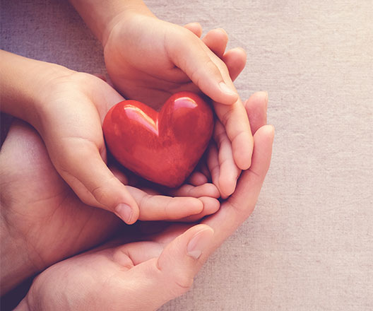 Child holds a red stylized heart-shaped object in their cupped hands, held inside an adult's cupped hands.