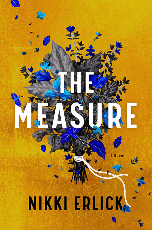 The Measure by Nikki Erlick Book cover of The Measure by Nikki Erlick.