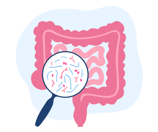 illustration of microbes in intestine