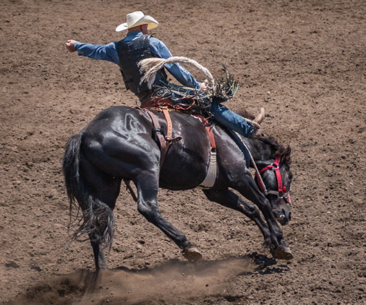 Cowboy on bucking bronco.