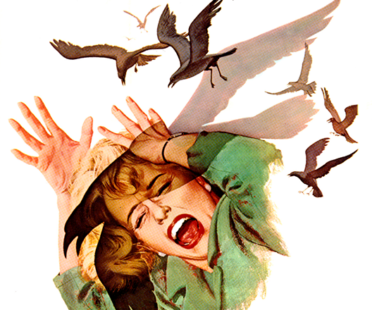 The Birds 1963 movie poster