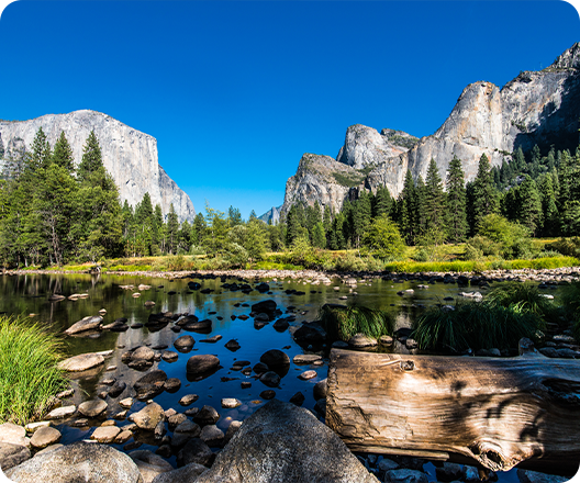 Yosemite National Park