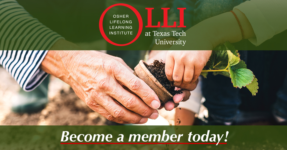 Olli Logo and image. Become a member today!