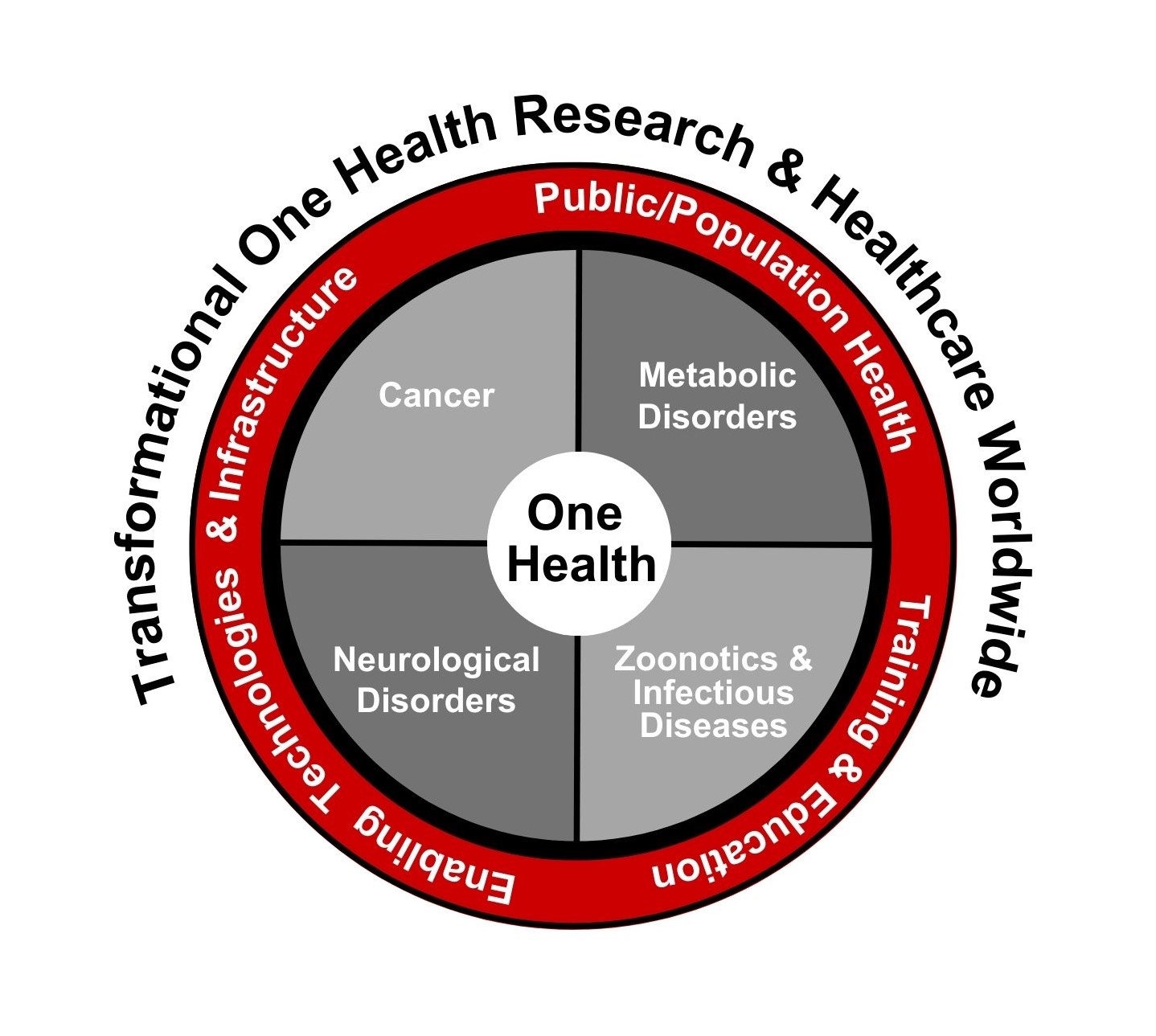 transformational one health research and healthcare worldwide