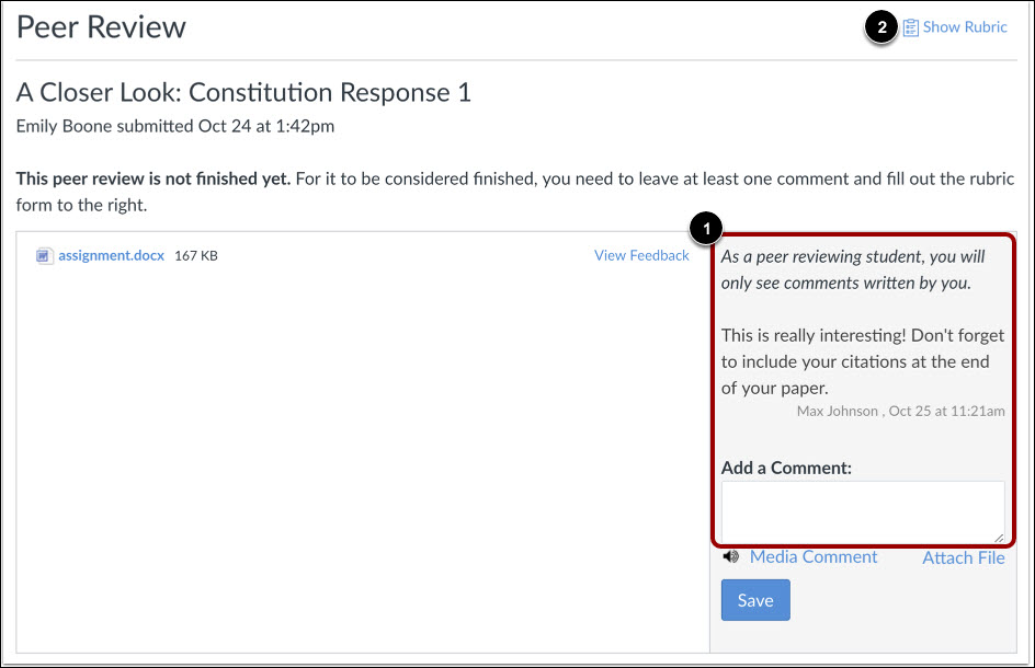 View Peer Review Comments