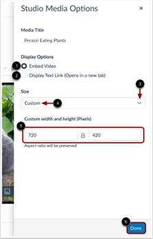 Studio Media Options