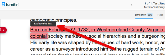 Image of the Exclude this Text option with Turnitin