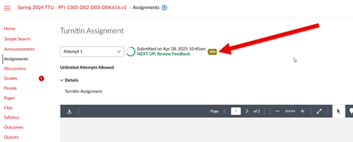Image of the Turnitin Student Report