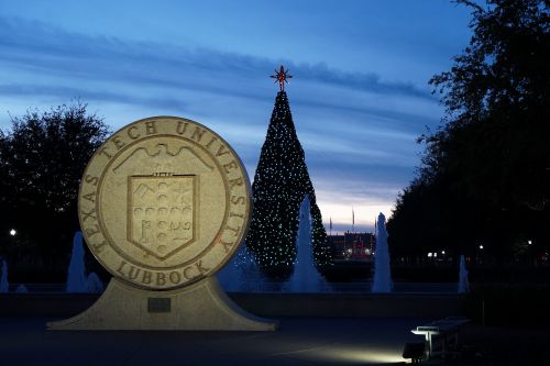 Christmas tree behind Academic Seal and fountains at night