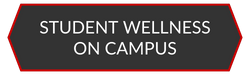 Student Wellness On Campus