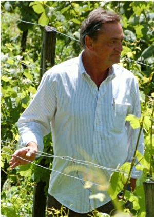 Portrait of Stefan Estreicher