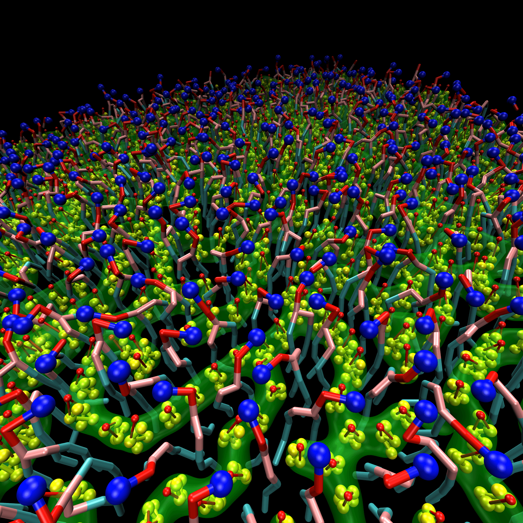 lipid membranes