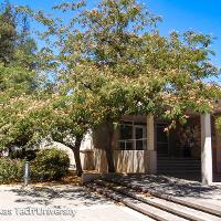 Albizia julibrissin (Mimosa, Silk-Tree)