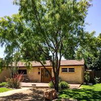 Prosopis glandulosa (Honey Mesquite)