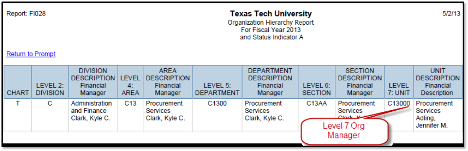 Screenshot of the FI028 Cognos Report