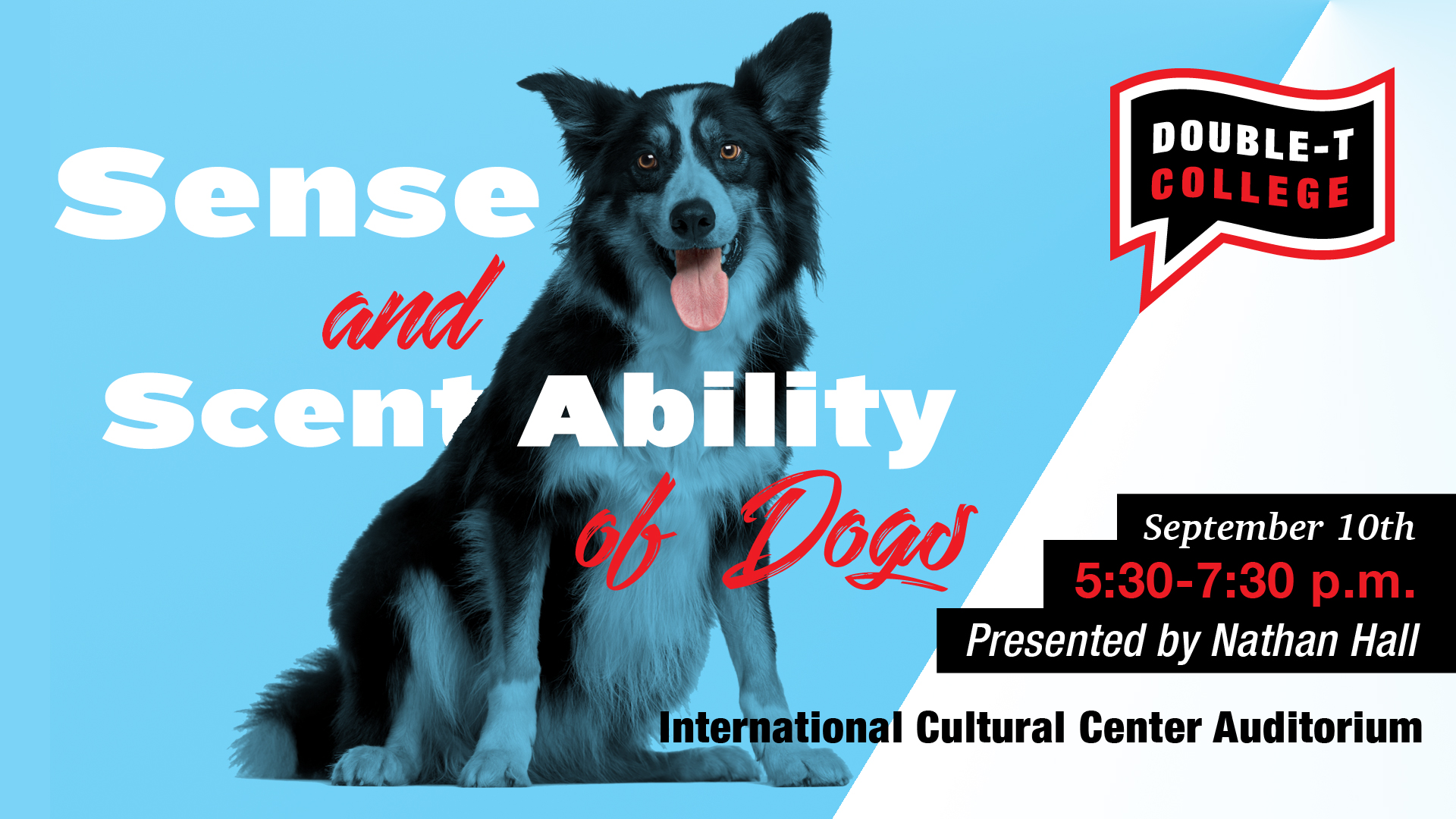 Sense and Scent Ability of Dogs