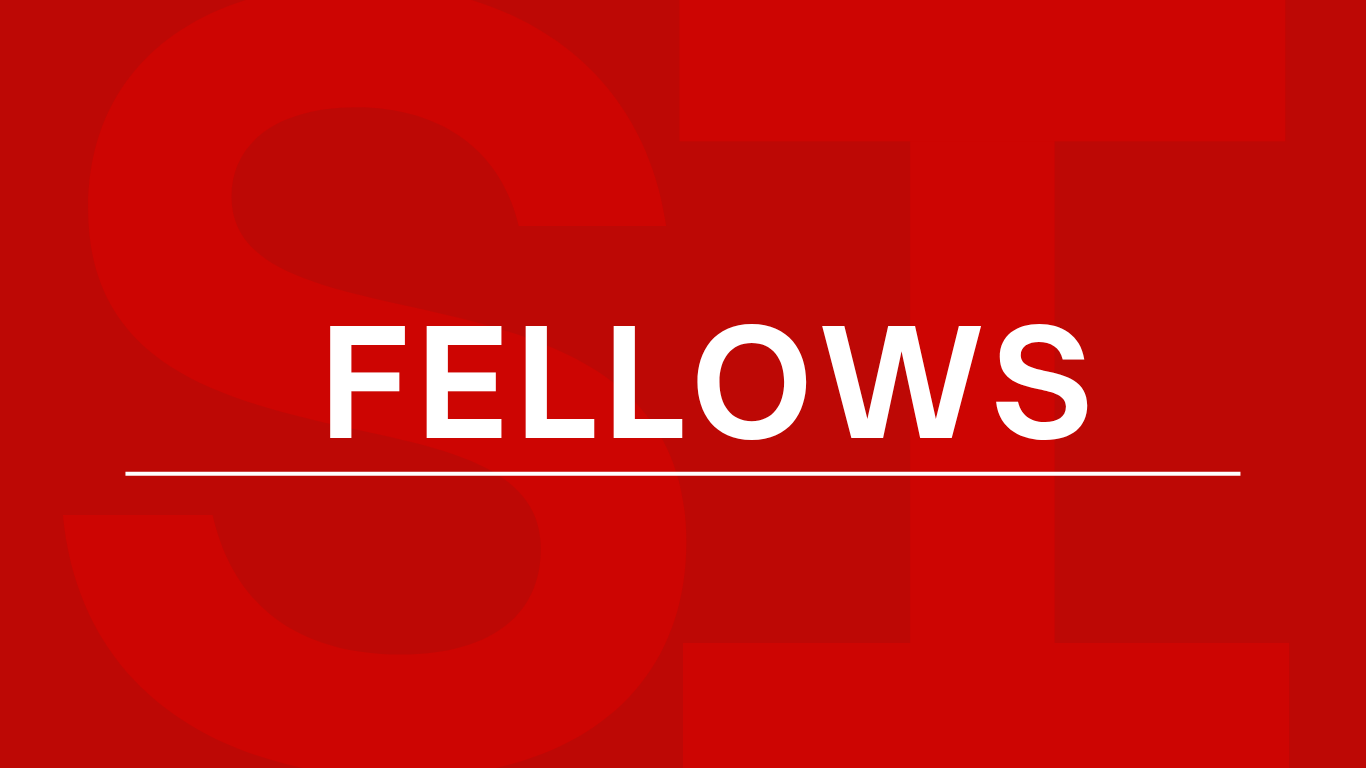Societal Impact Fellows Graphic