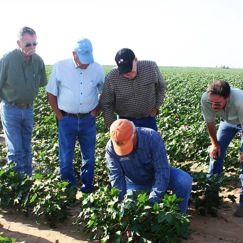 Texas Water Alliance