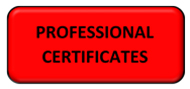 Professional Certificates