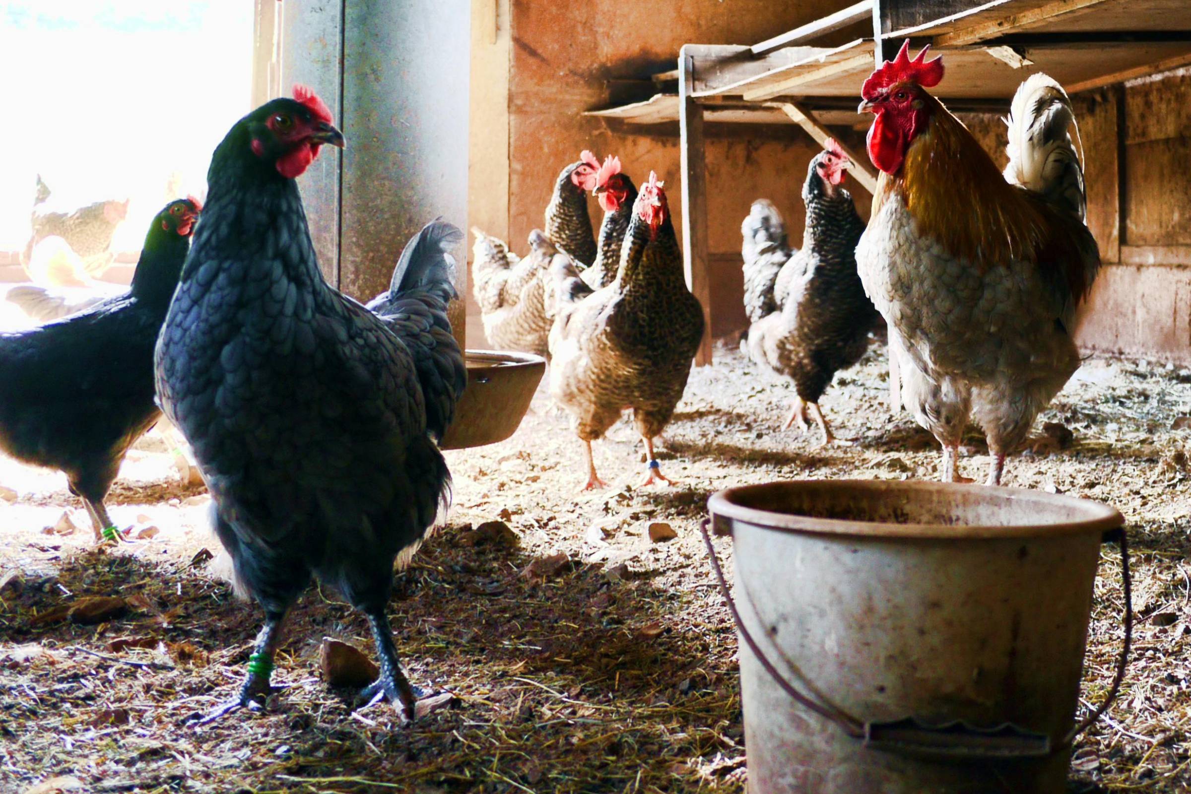 sustainable small farming