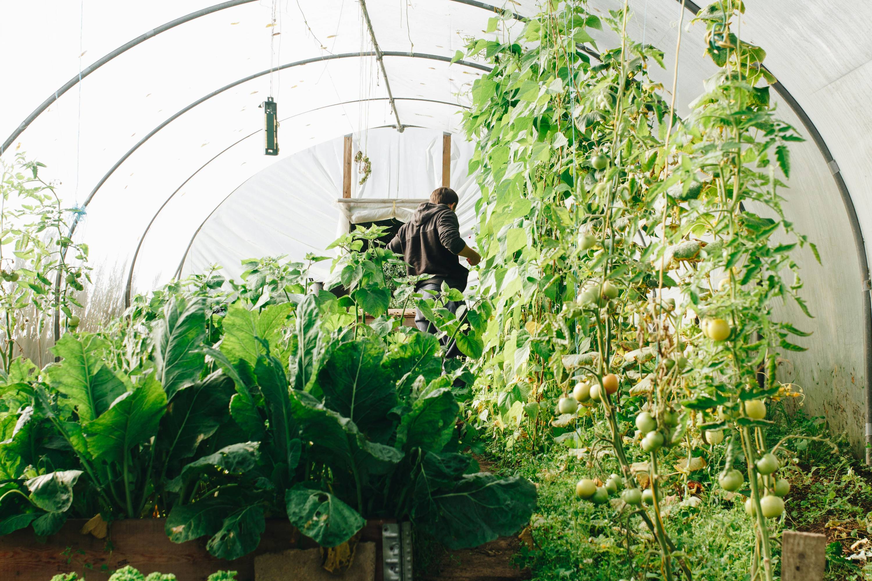 sustainable small farming