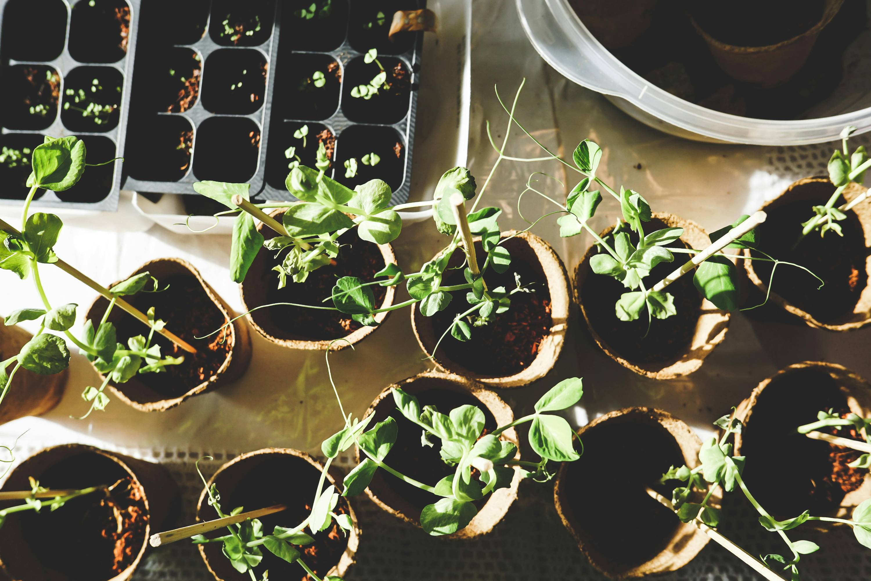sustainable small farming