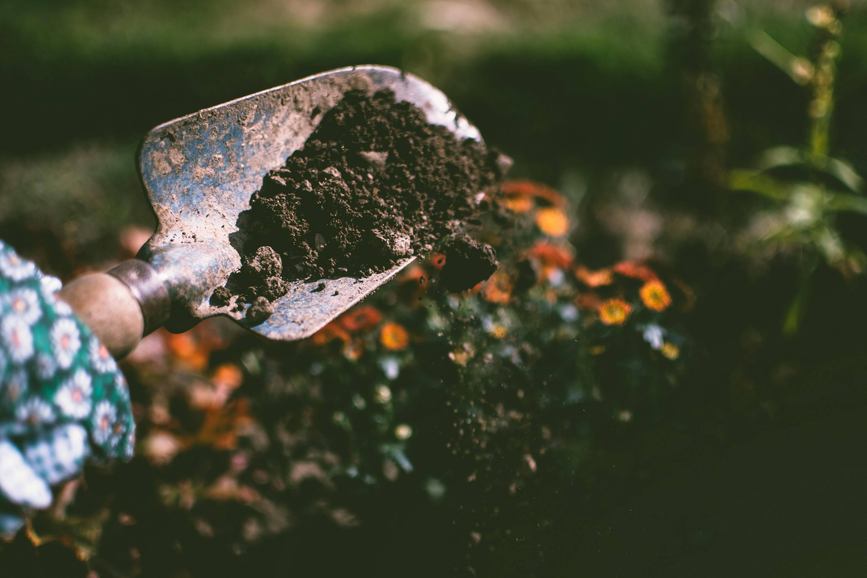 sustainable small farming