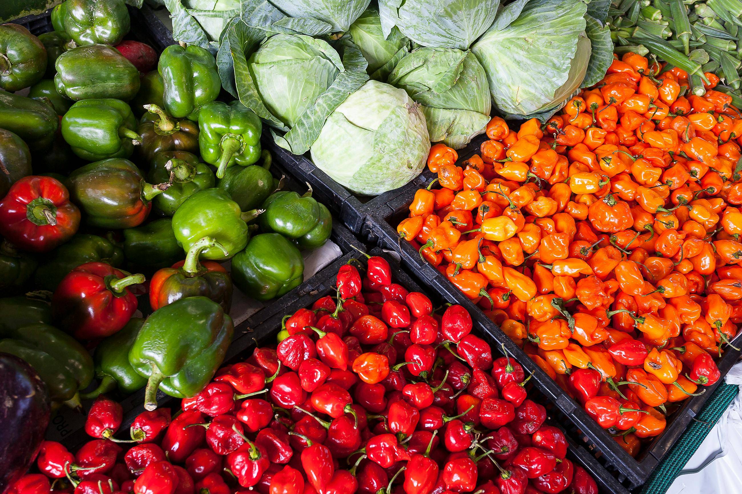 sustainable small farming