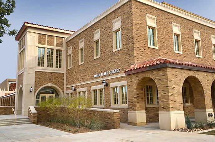 TTU campus