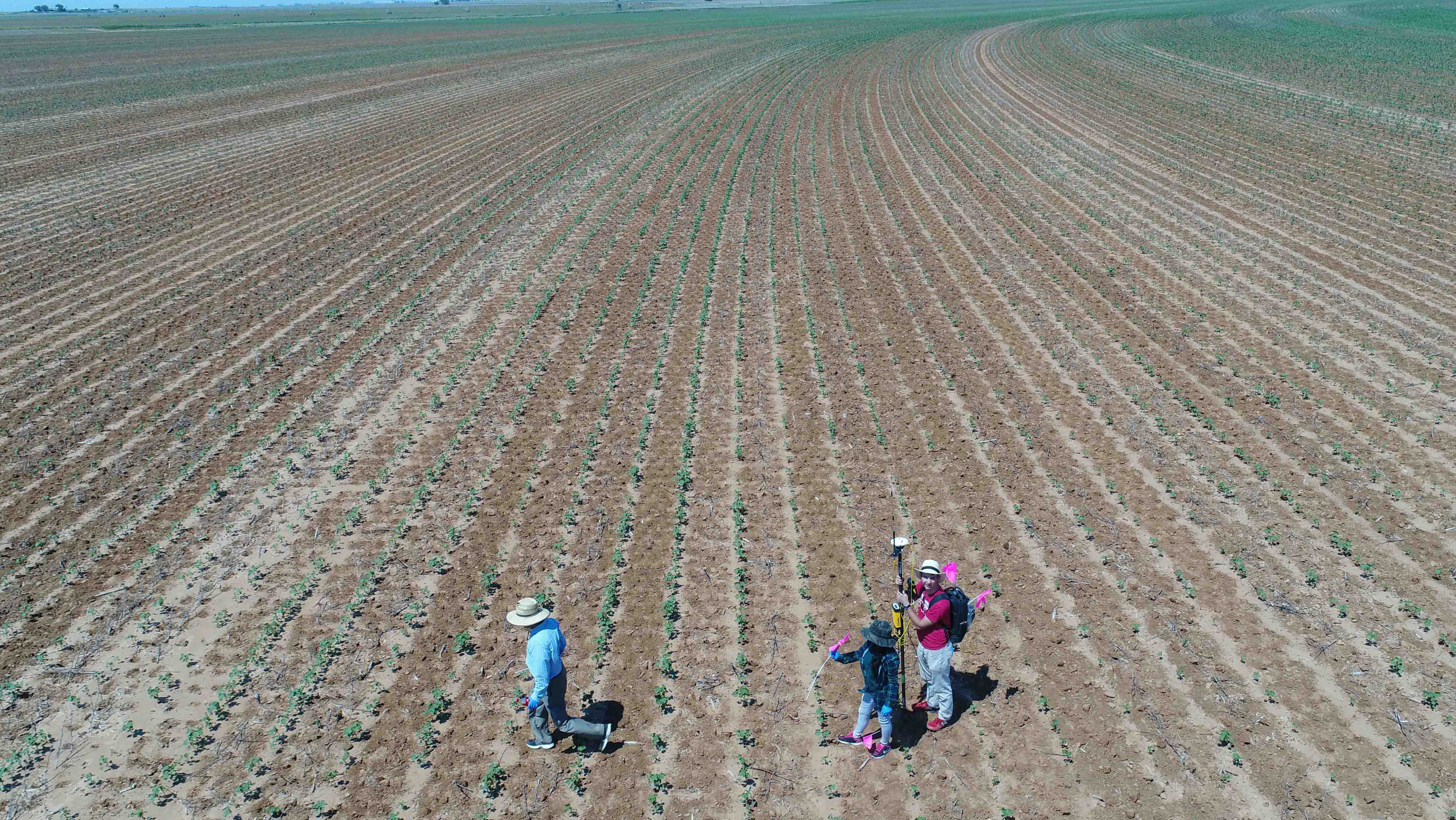 Plant and soil science research