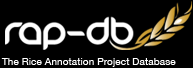 rap-db useful links, rice annotation project database